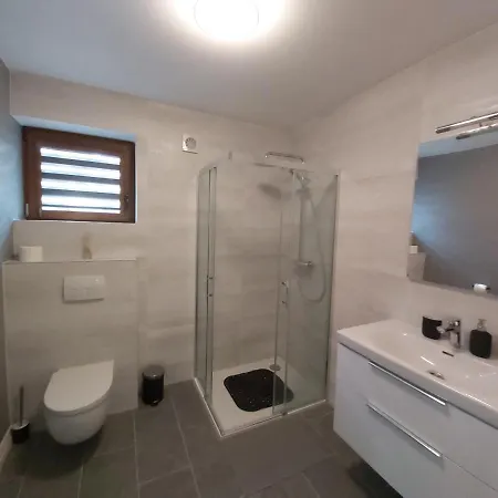 Paralotniarza * ボルスク