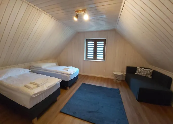 Paralotniarza * Borsk