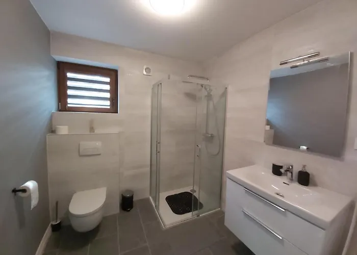 Paralotniarza * Borsk